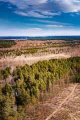 Fototapeta na wymiar Forest landscape with sky, field and river. Spring sunny day, wild European nature. Beautiful sky. Top view, aerial photography. 