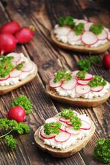 Fototapeta na wymiar Sandwiches with fresh radishes and cotton cheese