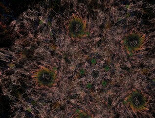 Imaginatory fractal background generated Image