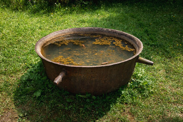 An old rusty tub filled with water