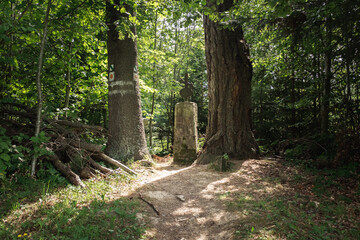Old tombstone in Bieszczady Mountains, Poland