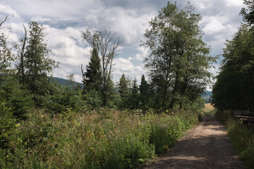 An empty, dirt road, Bieszczady National Park, Poland