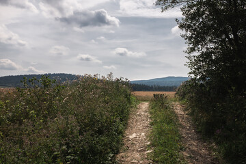 An empty, dirt road, Bieszczady National Park, Poland