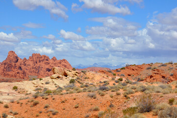 desert landscape, hiking trails.