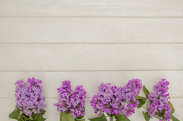 Top view of blooming lilac branches designed as one side frame on white rustic wooden background. Space for product or text. Purple flowers background