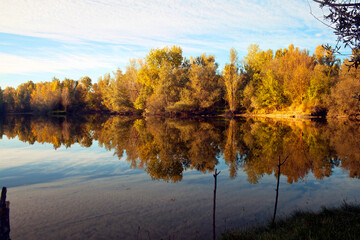 autumn forest reflected in the calm waters of a lake makes a mirror effect