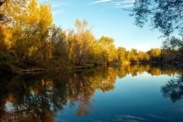  autumn forest reflected in the calm waters of a lake makes a mirror effect