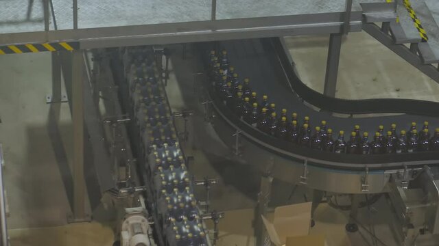 Moving brown plastic beer bottles on conveyor belt at brewery factory, plant. Manufacturing, industrial and automated technology equipment concept