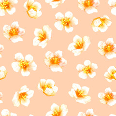 Fototapeta na wymiar Watercolor seamless pattern with white flowers on a light orange background 