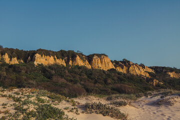 Amazing beach cliffs with vegetations around them with a clear blue sky 