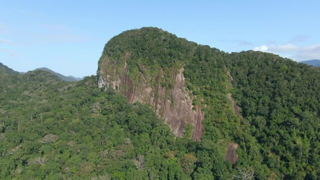 Panor&acirc;mica do cuma de uma montanha na Mata Atl&atilde;ntica / Panoramic view from the top of a mountain in the Atlantic Forest