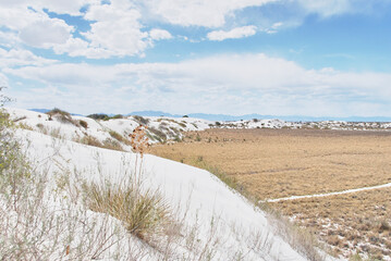 Dunes and grass at White Sands National Park