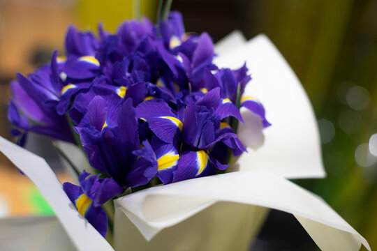 A bouquet of fiolet flowers iris with a yellow center. Background pattern with flowers.