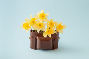 An old brown camera bag filled with yellow flowers on a blue background. Retro style concept.