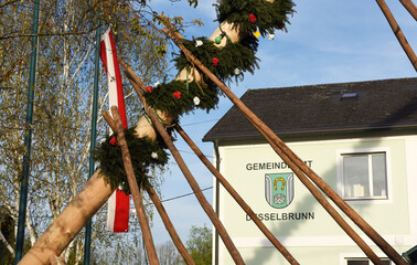 Maiaum-Aufstellen im Salzkammergut, Oberösterreich, Österreich, Europa - Raising the maypole in...