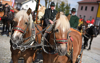 Georgi-Ritt in Wolfsegg, Österreich, Europa - Georgi Ride in Wolfsegg, Austria, Europe