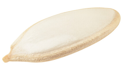 Pumpkin seed, isolated on white background, clipping path, full depth of field