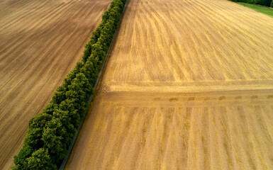 Aerial view of a harvested field