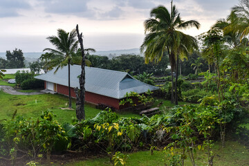 Fototapeta na wymiar ハワイ島黒砂海岸の情景