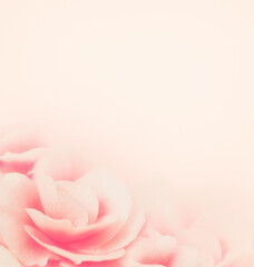 Obraz na płótnie Canvas Soft pink floral background