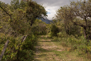 Fototapeta premium path in the mountains