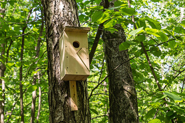 wooden birdhouse mounted on a tree trunk, taking care of the birds