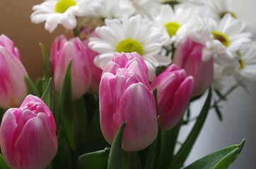 pink tulips and white daisies