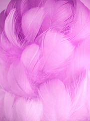 Fototapeta na wymiar Pink fluffy bird feathers. Beautiful fog. A message to the angel. The texture of delicate feathers. soft focus