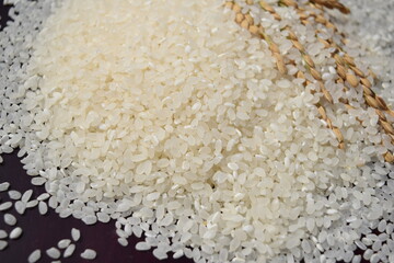 精米した新米