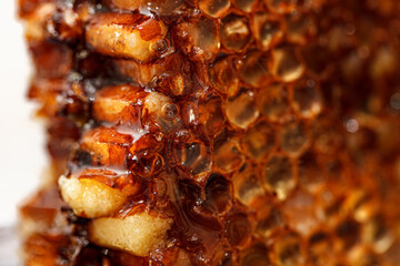 Beewax full of fresh and sweet honey . Bee honey production