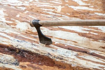 sharp ax is stuck in the trunk of a tree start of construction