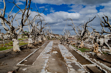 road to nowhere