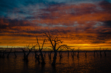 sunset over the river