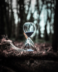 Hourglass sandtimer on a log in the woods creative photography