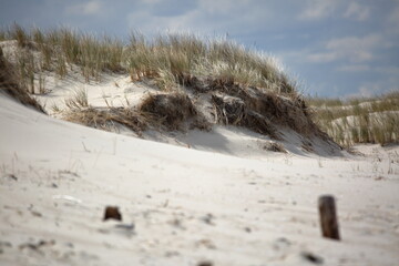 landscape with sandy dunes on Baltic seaside, rare grass, nobody