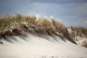 sand dunes on the beach