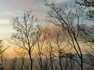 Obraz premium Tramonto sui monti e le colline dell’Appennino visto da dietro ai rami degli alberi 