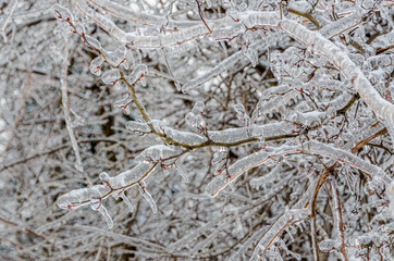 Freezing rain