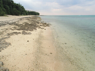 Fototapeta premium 沖縄県の石垣島から船にのっていく竹富島。歌の安里屋ユンタの家が残っている。星の砂を拾える海岸がある。