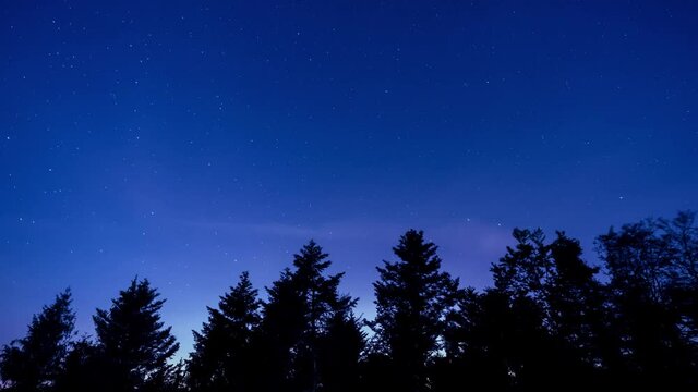 Time lapse shot of a blue starry sky with trees in the foreground in Battert, Germany