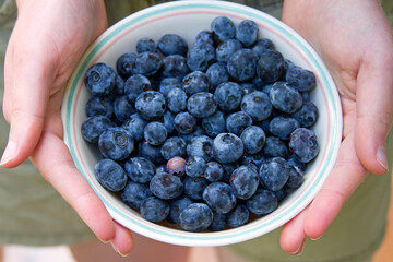 Hands Offering a Bowl of Organic Blueberries