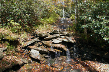 Pure Mountain Spring Water Trickles Onto Leaf Covered Rocks in a Sunny Autumn Forest