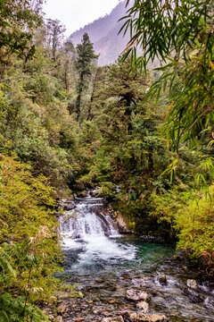 Wild Stream Pumalin Nature Sanctuary Palena Province of Chiles Region X 