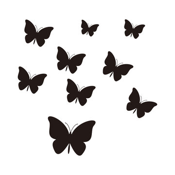 set of butterfly vector icon illustration sign