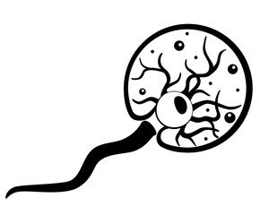 Noctiluca scintillans, sea sparkle animal - vector silhouette picture for logo or pictogram. The species of free-living marine colorless dinoflagellates from the order Noctilucales is a unicellular.