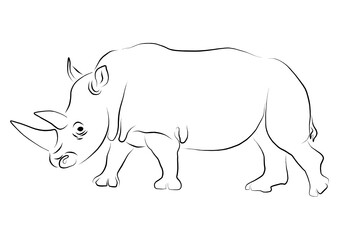 rhino illustration