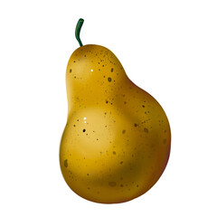 Hand-drawn illustration of a ripe yellow pear. Cute summer fruit in realism style.