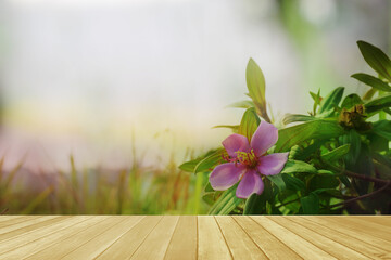 Empty top wooden table on beautiful purple flower on soft blurred nature background