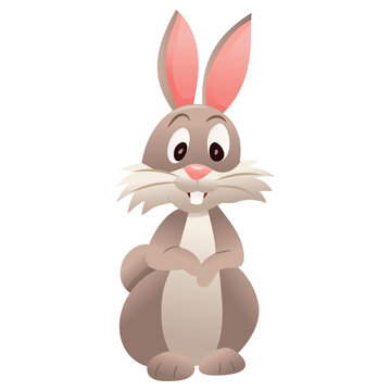 Cartoon Cute Bunny Rabbit Front Facing Arms On Tummy