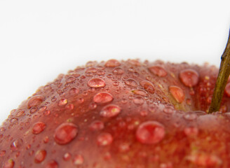 One red apple macro on a white background